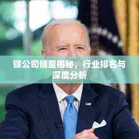 镓公司储量揭秘，行业排名与深度分析