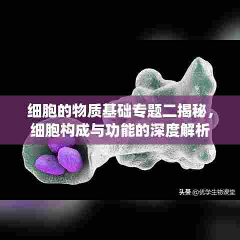 细胞的物质基础专题二揭秘，细胞构成与功能的深度解析