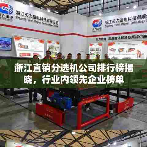 浙江直销分选机公司排行榜揭晓，行业内领先企业榜单
