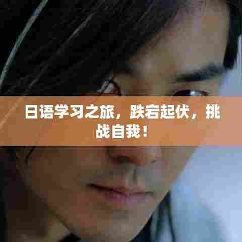 日语学习之旅，跌宕起伏，挑战自我！