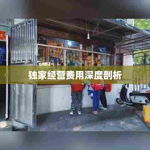 独家经营费用深度剖析