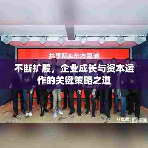 不断扩股，企业成长与资本运作的关键策略之道