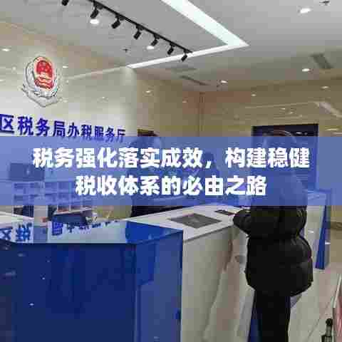 税务强化落实成效，构建稳健税收体系的必由之路