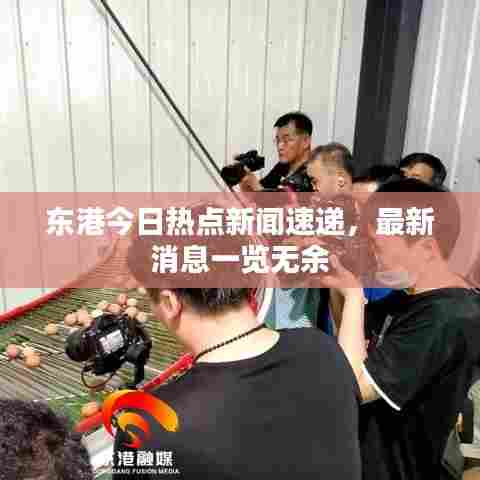 东港今日热点新闻速递，最新消息一览无余