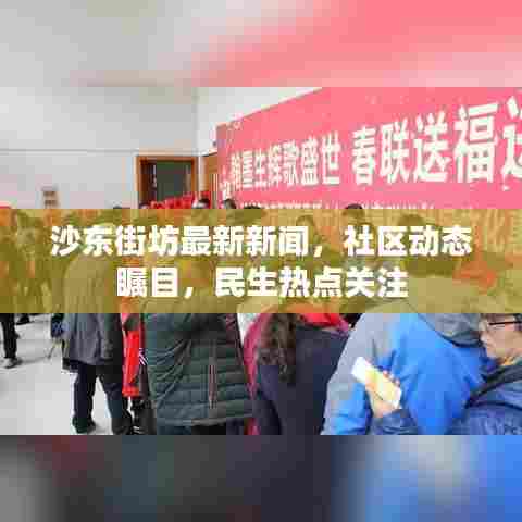 沙东街坊最新新闻，社区动态瞩目，民生热点关注