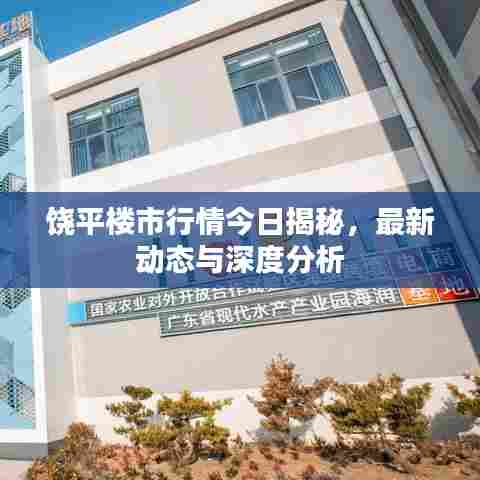 饶平楼市行情今日揭秘，最新动态与深度分析