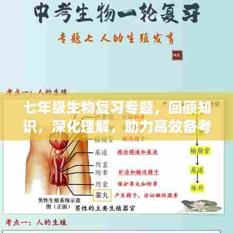 七年级生物复习专题，回顾知识，深化理解，助力高效备考！