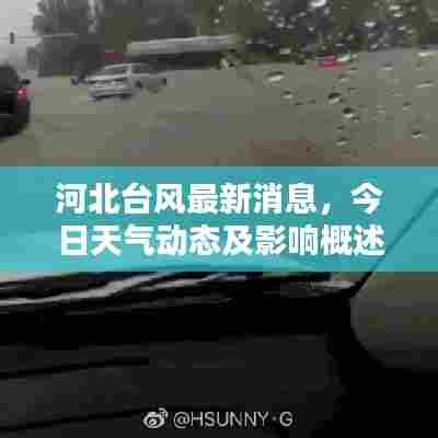 河北台风最新消息，今日天气动态及影响概述