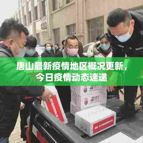 唐山最新疫情地区概况更新，今日疫情动态速递