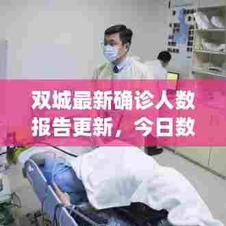 双城最新确诊人数报告更新，今日数据揭秘！
