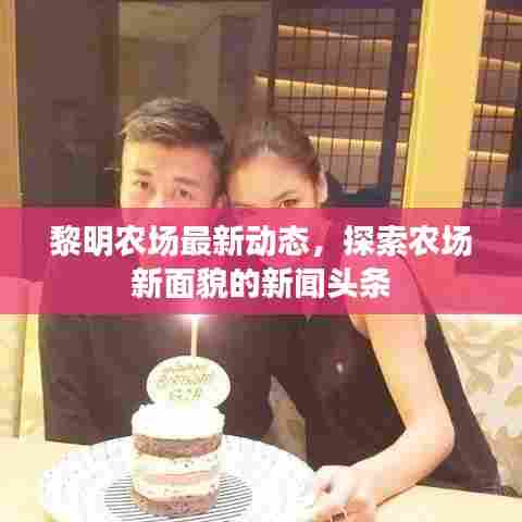 黎明农场最新动态，探索农场新面貌的新闻头条