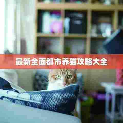 最新全面都市养猫攻略大全