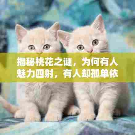 揭秘桃花之谜，为何有人魅力四射，有人却孤单依旧？