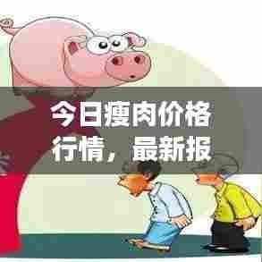 今日瘦肉价格行情，最新报告全面解析市场走势