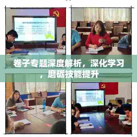 卷子专题深度解析，深化学习，磨砺技能提升