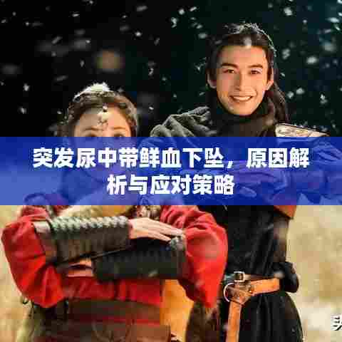 突发尿中带鲜血下坠，原因解析与应对策略