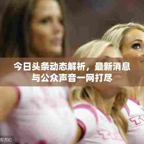 今日头条动态解析，最新消息与公众声音一网打尽