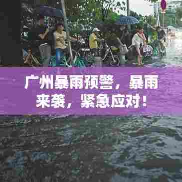 广州暴雨预警，暴雨来袭，紧急应对！