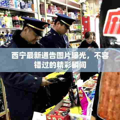西宁最新通告图片曝光，不容错过的精彩瞬间