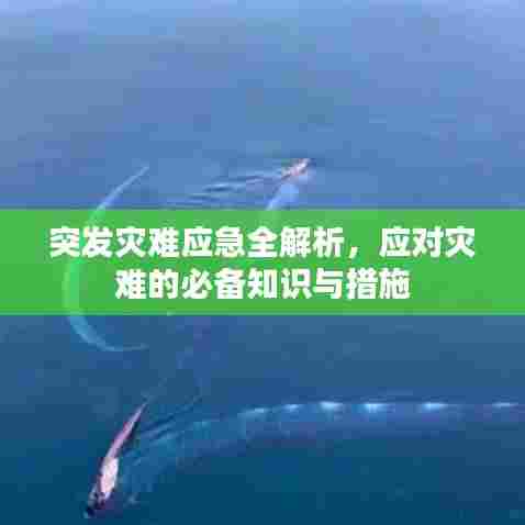 突发灾难应急全解析，应对灾难的必备知识与措施