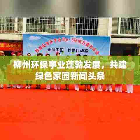 柳州环保事业蓬勃发展，共建绿色家园新闻头条