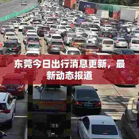 东莞今日出行消息更新，最新动态报道