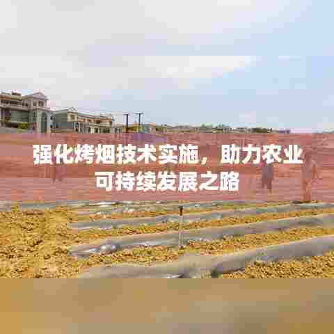 强化烤烟技术实施，助力农业可持续发展之路