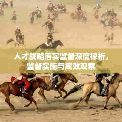 人才战略落实监督深度探析，监督实施与成效观察