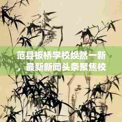 范县板桥学校焕然一新，最新新闻头条聚焦校园新面貌