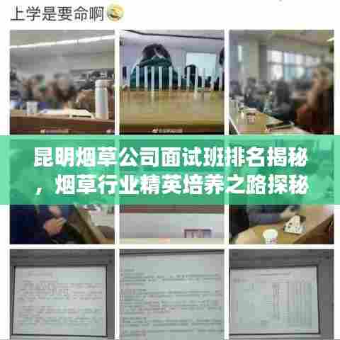 昆明烟草公司面试班排名揭秘，烟草行业精英培养之路探秘