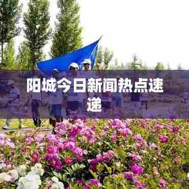 阳城今日新闻热点速递