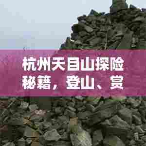 杭州天目山探险秘籍，登山、赏景、尽享自然之美！