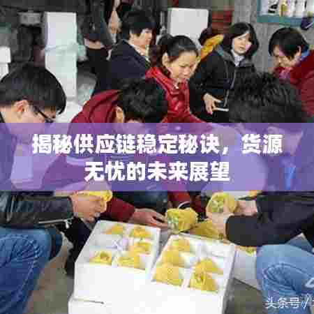 揭秘供应链稳定秘诀，货源无忧的未来展望