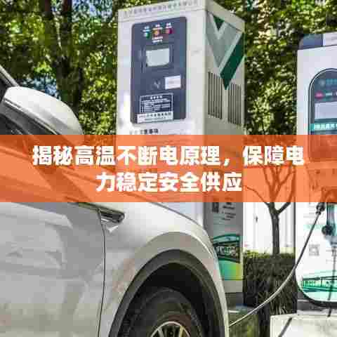 贵不期骄 第5页