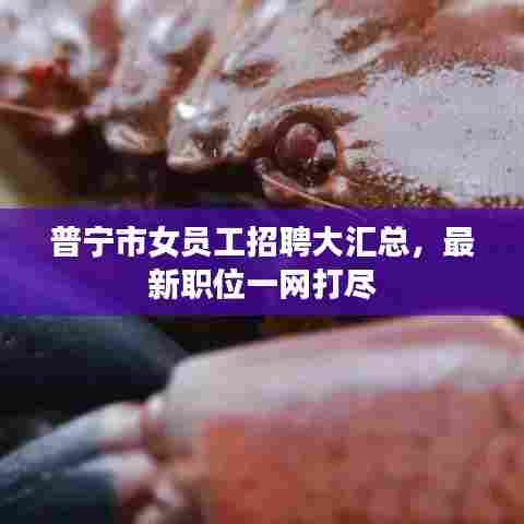 普宁市女员工招聘大汇总，最新职位一网打尽