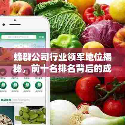 蜂群公司行业领军地位揭秘，前十名排名背后的成功秘诀！
