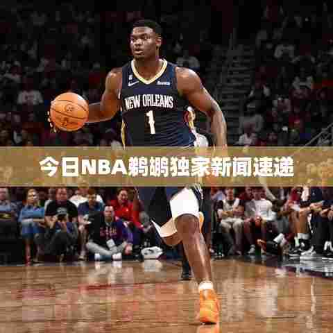 今日NBA鹈鹕独家新闻速递