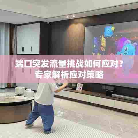 端口突发流量挑战如何应对？专家解析应对策略