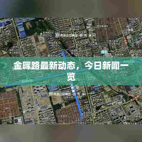 金晖路最新动态，今日新闻一览