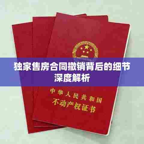 独家售房合同撤销背后的细节深度解析
