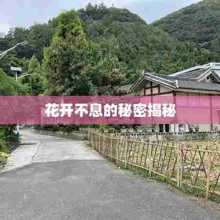 花开不息的秘密揭秘