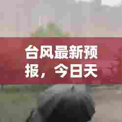 台风最新预报，今日天气动态及影响分析