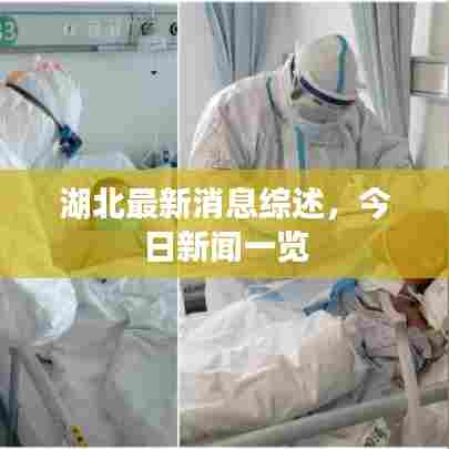 湖北最新消息综述，今日新闻一览