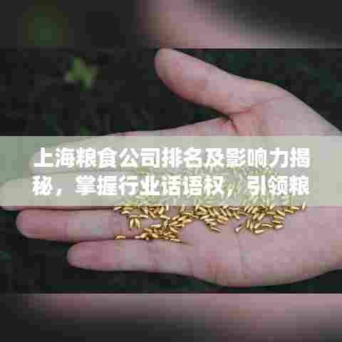 上海粮食公司排名及影响力揭秘，掌握行业话语权，引领粮食产业新风向！