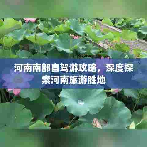 河南南部自驾游攻略，深度探索河南旅游胜地