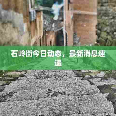石岭街今日动态，最新消息速递