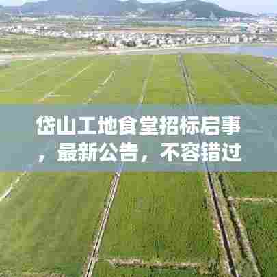 岱山工地食堂招标启事，最新公告，不容错过！