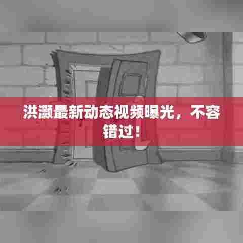 洪灏最新动态视频曝光，不容错过！