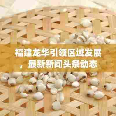 福建龙华引领区域发展，最新新闻头条动态