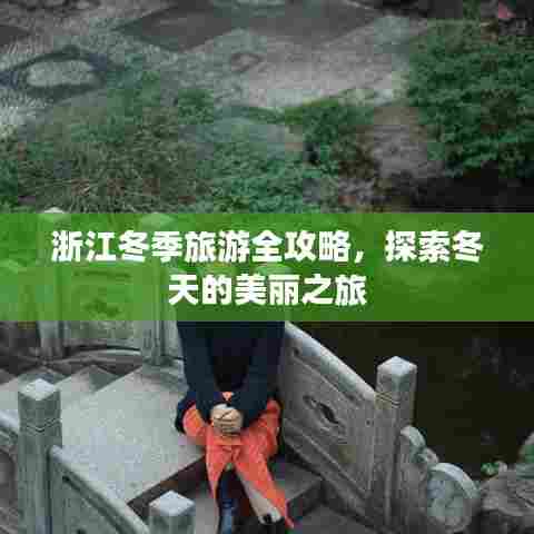 浙江冬季旅游全攻略，探索冬天的美丽之旅